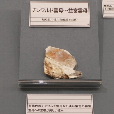 FM135_02 石の花◇岐阜県 中津川市鉱物博物館 (Ⅱ) 2022年05月06 FM135_02 石の花◇岐阜県 中津川市鉱物博物館 (Ⅱ) 2022年05月06