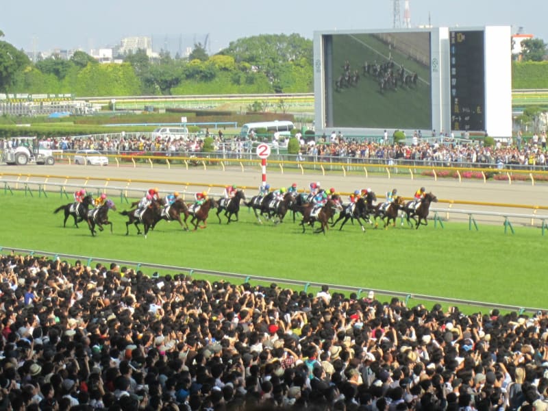 大井競馬場70年史 | 大井競馬場70周年記念特設サイト | 東京