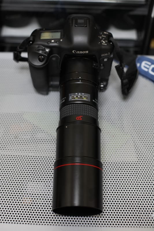 おかえりっ！Tokina AT-X AF 400mm 1:5.6 - 川瀬水樹のカワセミ