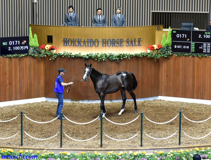 JRA競走に勝ったセール出身馬紹介(2020/5/23-24､デアリング