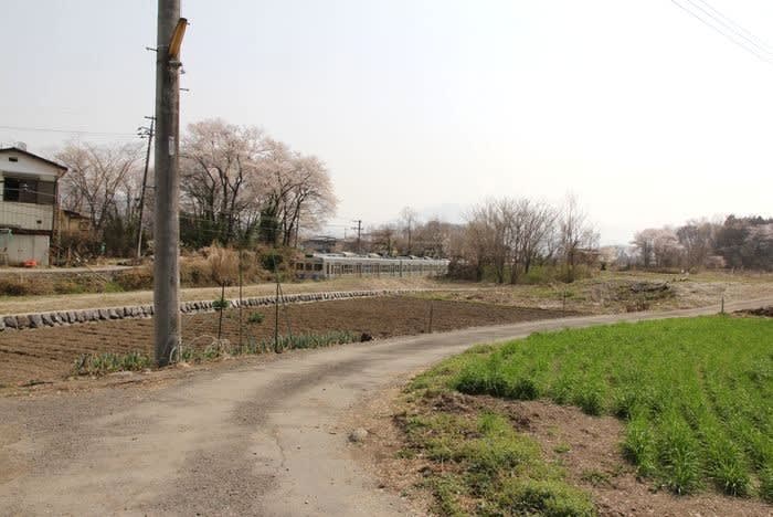 諏訪城(埼玉県秩父市) - 四季・めぐりめぐりて 諏訪城(埼玉県秩父市) - 四季・めぐりめぐりて