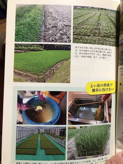 師匠、三木孝昭著『だれでもできる 有機のイネつくり』届く - 無