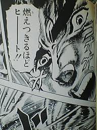 震えるぞハート 燃え尽きるほどヒート 哀を愛する人は 震えるぞハート 燃え尽きるほどヒート 哀を愛する人は