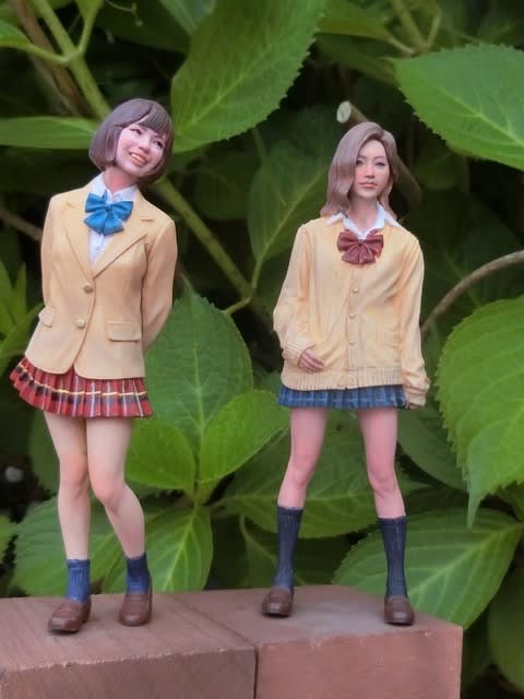 Amazon | ハセガワ 1/12 JKメイトシリーズ カーディガン レジン