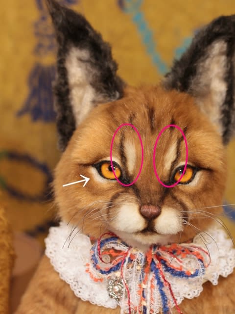 お人形野生猫シリーズ カラカルさん ② - KEITA BEAR お人形野生猫シリーズ カラカルさん ② - KEITA BEAR
