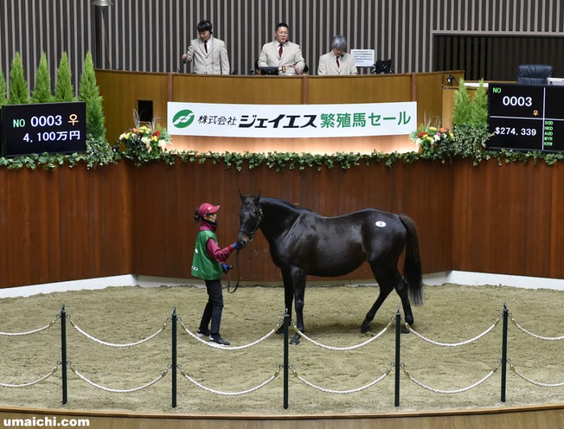 装蹄－幼駒から競走馬 中古本 非売品 青木修｜Yahoo!フリマ（旧