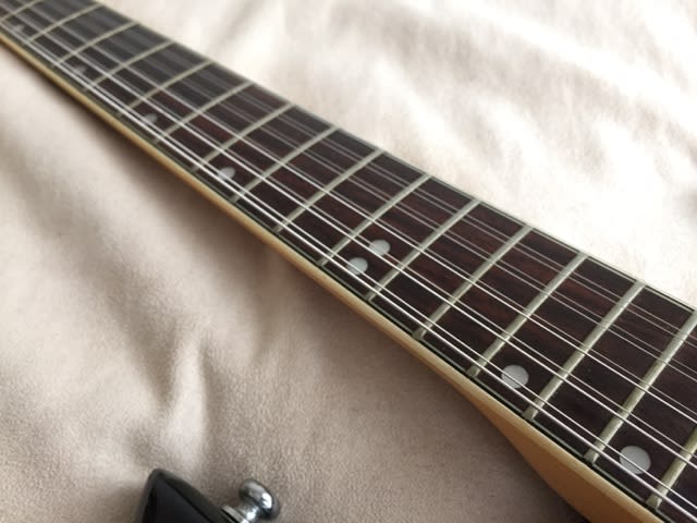 Aria Diamond(たぶん) / Electric 12弦ギター オーダー品 Aria Diamond(たぶん) / Electric 12弦ギター オーダー品