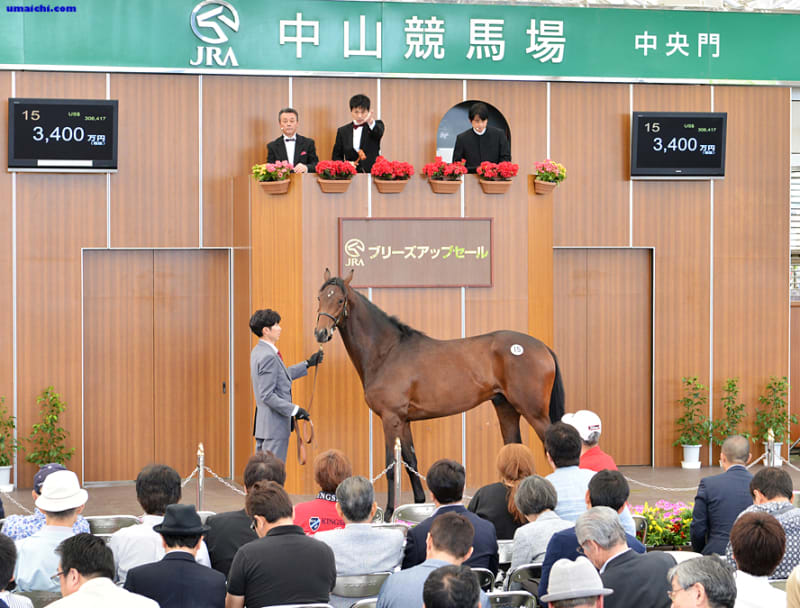 JRA競走に勝ったセール出身馬紹介(2019/5/18-19､ラヴズオンリー