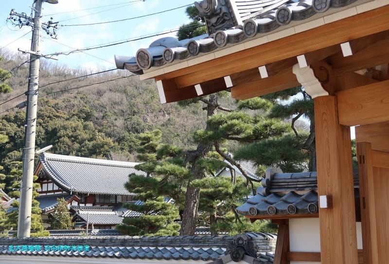京都発幕間旅情】瑞雲院(岐阜)金寶山瑞龍寺,臨済宗妙心寺派の 京都発幕間旅情】瑞雲院(岐阜)金寶山瑞龍寺,臨済宗妙心寺派の