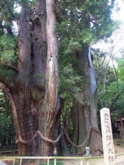 山下奉文 - Wikipedia