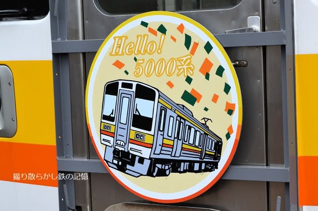 三岐鉄道 丹生川3号踏切(2025.5.18) 旧JR東海 5000系