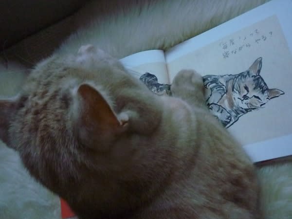 榎木孝明さん 「猫のくすっ」 - 球ちゃんとの ひねもすブログ 榎木孝明さん 「猫のくすっ」 - 球ちゃんとの ひねもすブログ