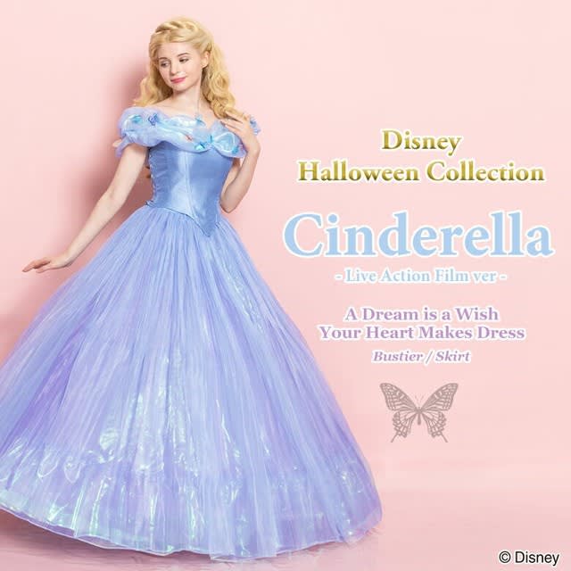 Wish top cinderella dress
