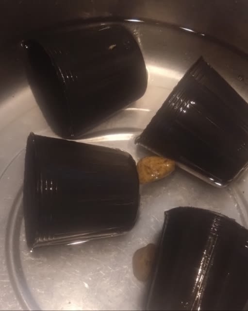 GF枝豆 30μ 190×200+40 3C 白紫緑 テープ付 4000枚 えだまめ 袋