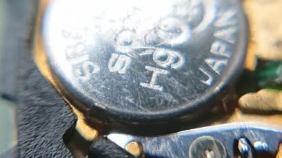 S__66347030.jpg