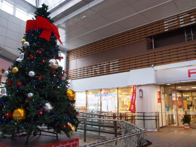寒中のクリスマスツリー - 広く浅く