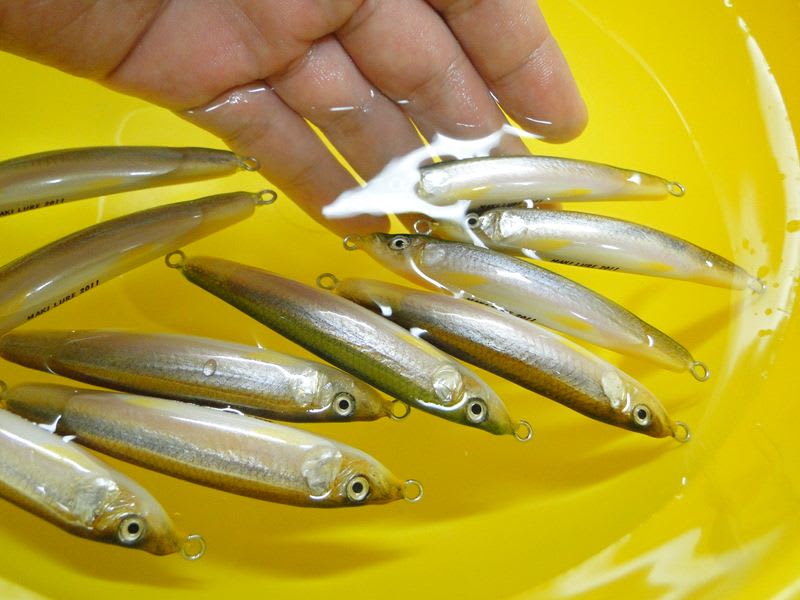 makiハンドメイドルアー公魚剥製仕様 特注品（色々な公魚剥製