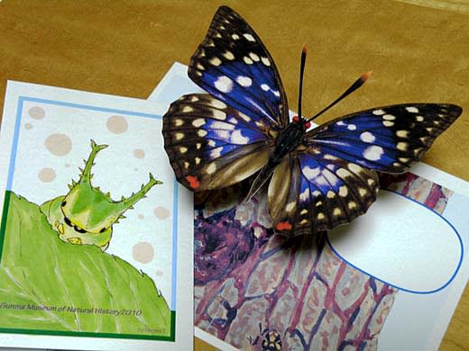 むし 虫 ウォチング 群馬県立自然史博物館 (富岡市) - グッド むし 虫 ウォチング 群馬県立自然史博物館 (富岡市) - グッド