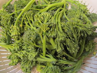 最新作 プチヴェールとスティックセニョール ノイバラ山荘 - 野菜