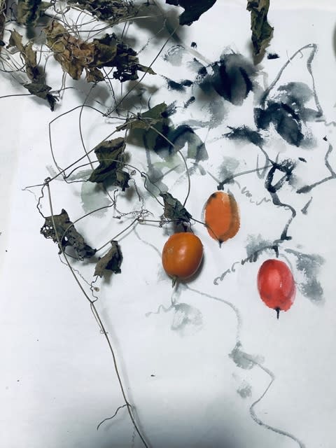 墨彩画 水墨画で描く 「烏瓜 カラスウリ」スケッチ2 - 水墨画