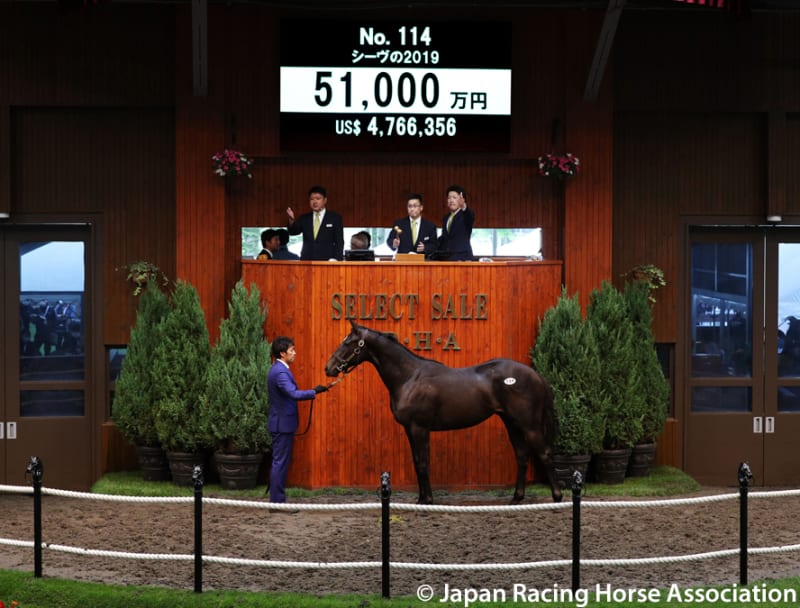 セレクトセール2021(Select Sale､第1日目､1歳)】～結果概要(売却