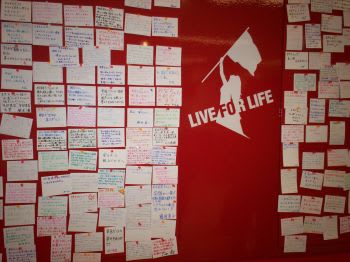 本田美奈子. LIVEFORLIFE限定品