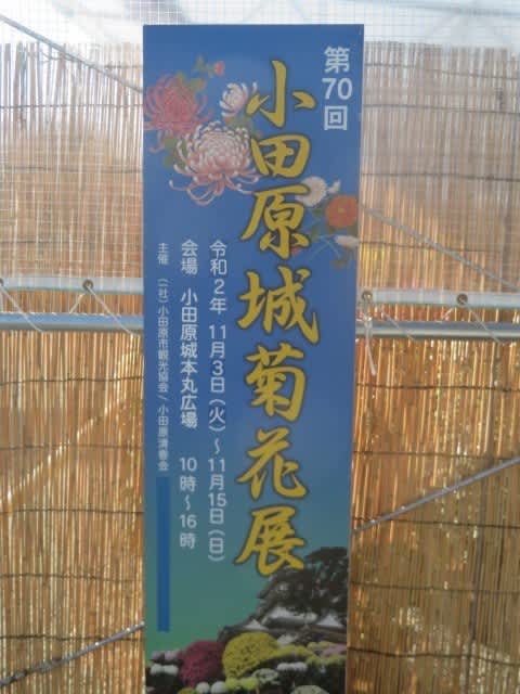 山内白葉、【小田原城の桜】、希少な額装用画集より、美品、新品額装付 山内白葉、【小田原城の桜】、希少な額装用画集より、美品