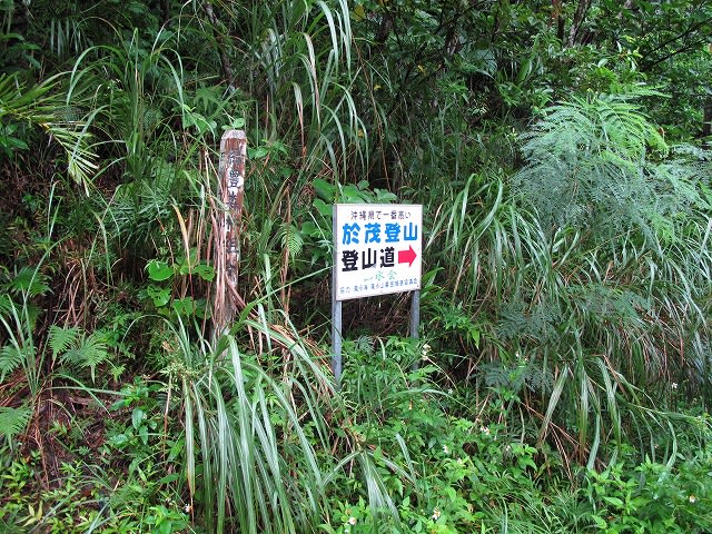 沖縄最高峰・於茂登岳(525.5m)の雨天歩き - たそがれオヤジの 沖縄最高峰・於茂登岳(525.5m)の雨天歩き - たそがれオヤジの