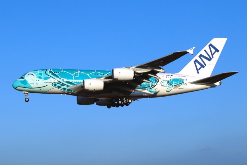 全日空 「 エアバス A380 フライングホヌ カイ 」 ( A380-841 全日空 「 エアバス A380 フライングホヌ カイ 」 ( A380-841