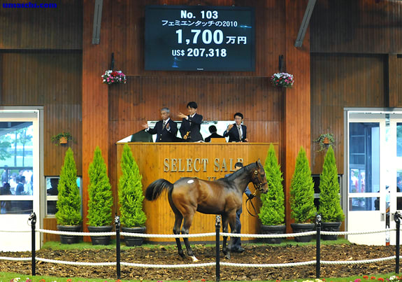 ジャスタウェイが直線突き抜けて完勝、ドバイへ向け視界良好