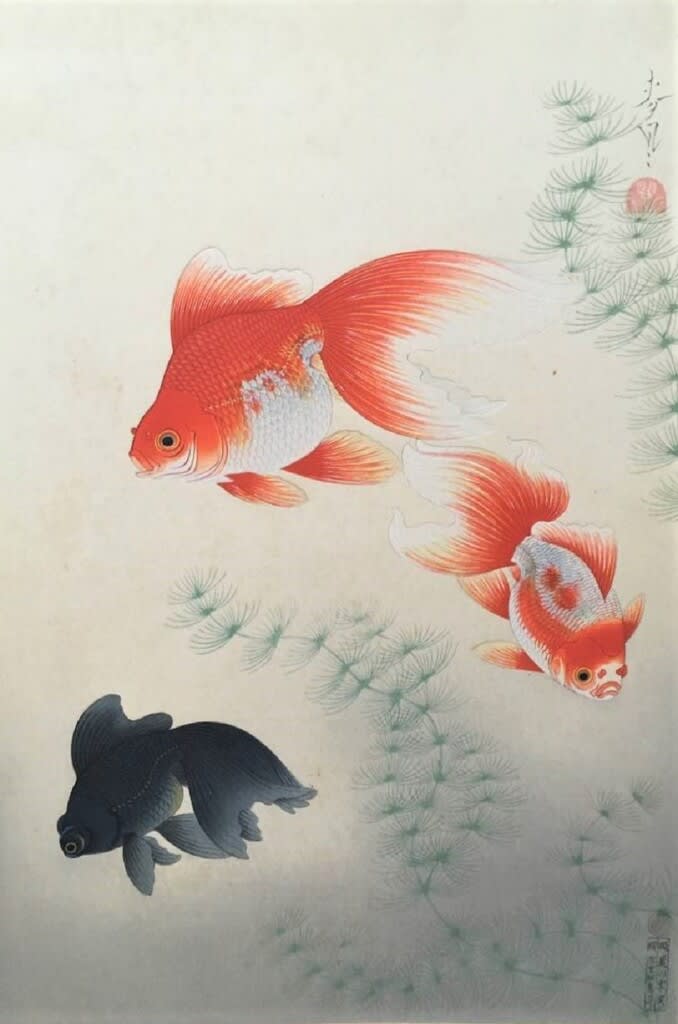 絵画 リトグラフ AMANO作 金魚 - 絵画 - 絵画