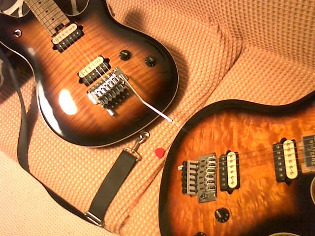 ⑥ Peavey EVH Wolfgang 99タバコサンバースト - CLUB EVH ブログ