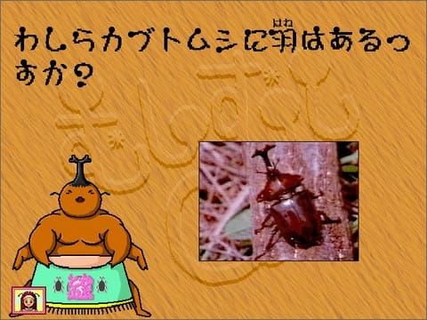 むしむしQ - 雑居空間
