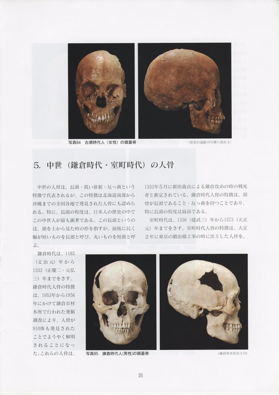 私の仕事・博物館の企画展7．日本人のルーツを探る展3・渡来人