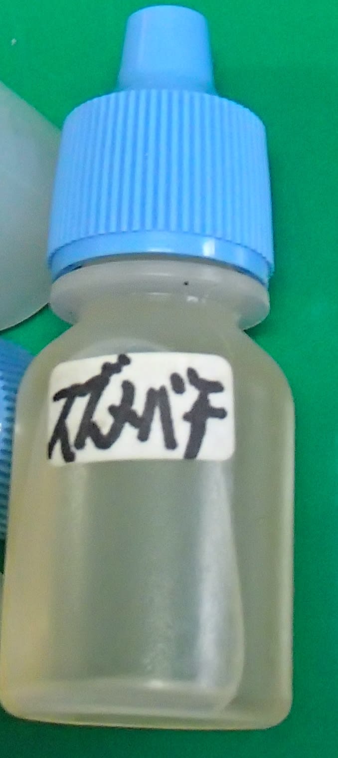 スズメバチの焼酎漬け - 笑顔と健康はキクイモから! 北丹沢の麓 スズメバチの焼酎漬け - 笑顔と健康はキクイモから! 北丹沢の麓