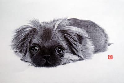 犬の絵をボールペンで描く 筒井清彦ボールペン画 日本ボールペン画協会会員