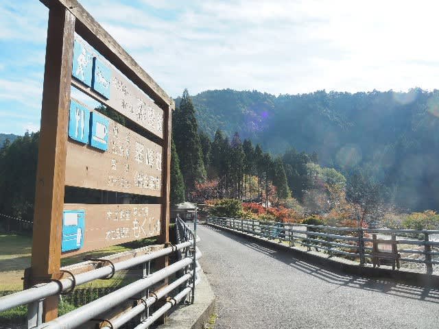 京都市：北山林業（北山杉、北山丸太）について