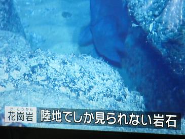アトランティスの痕跡か？ 大西洋の海底に「陸地」発見 13.5.7.10:32 - いいしらせのグッドニュース[パート・Ⅱ]