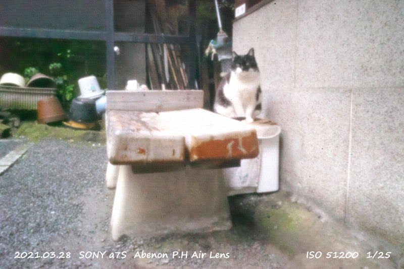 AVENON P.H AIR LENS - ねおん写真記 AVENON P.H AIR LENS - ねおん写真記