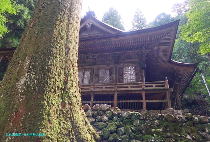 京都発幕間旅情】横蔵寺(岐阜-揖斐)青椛は最澄の比叡山延暦寺と