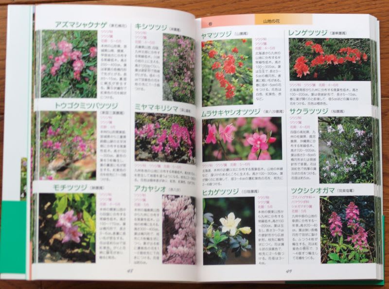 山野草の名前1000がよくわかる図鑑』が発刊されました - 山
