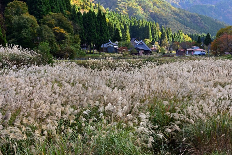 JR只見線 | 滝桜や三春町をはじめ裏磐梯、福島県の風景写真