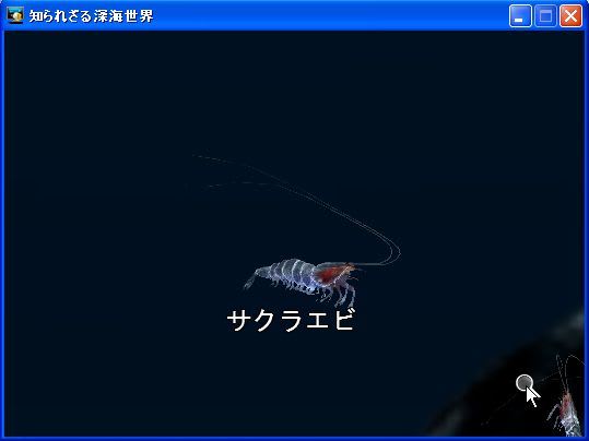 【送料無料（一部地域を除く）】 アクアゾーン Open Water～知られざる深海世界(Windows) - 毒ヽ その他