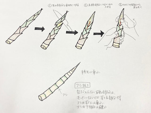 根曲がり竹シーズン突入♪(皮むき方法など掲載) - 信濃町総合 根曲がり竹シーズン突入♪(皮むき方法など掲載) - 信濃町総合