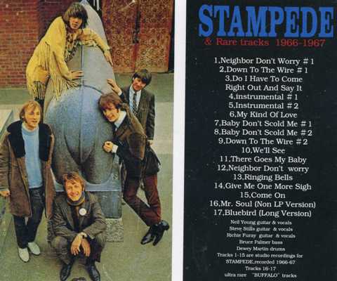 BUFFALO SPRINGFIELD / Retrospective - The Best Of Buffalo