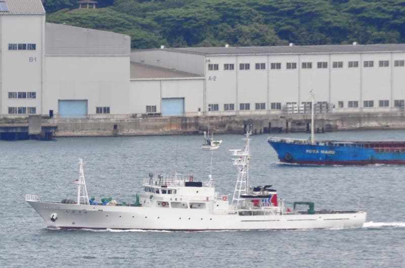 太平洋に吹く日本海の風～東京九州フェリー乗船記【すいせん