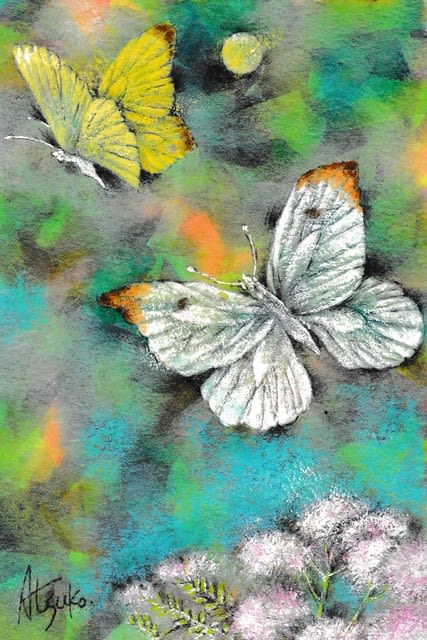 糠地郷蝶のはがき絵大賞展 - 蝶の里山 糠地郷蝶のはがき絵大賞展 - 蝶の里山