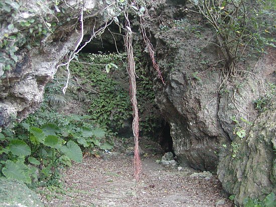 近衛第二師団第一野戦病院出征記録 近衛第二師団第一野戦病院 出征記録(ルマサキ会編) / 古本、中古