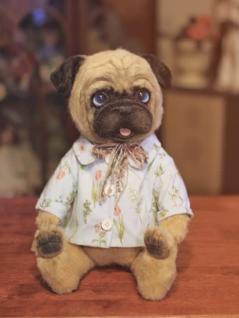 Kawaii Dogsシリーズ パグの小鉄くん ② - KEITA BEAR