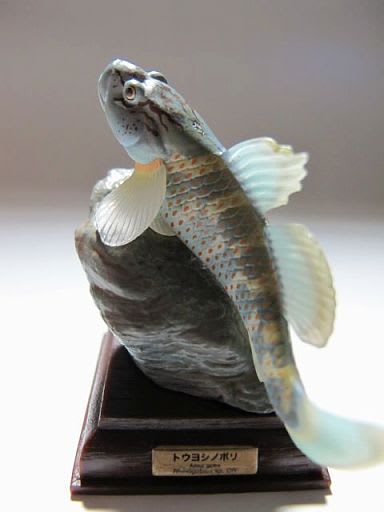 トウヨシノボリ 【日本の清流】 | ksynceo009 Museum | MUUSEO トウヨシノボリ 【日本の清流】 | ksynceo009 Museum | MUUSEO